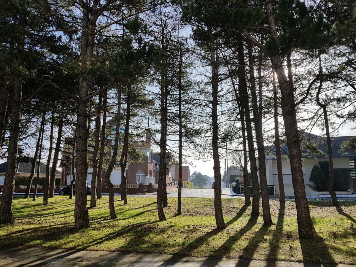 Апартаменти Sunny Days - App 60 M2 Avec Balcon, 4 Pers, 3E Etage, Au Calme Et Ensoleille Le Touquet Екстер'єр фото